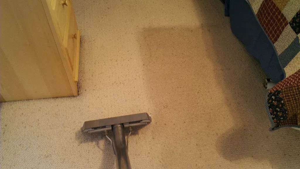 Viscose Rug Cleaning in Salt Lake City – the fiber you should be aware of!