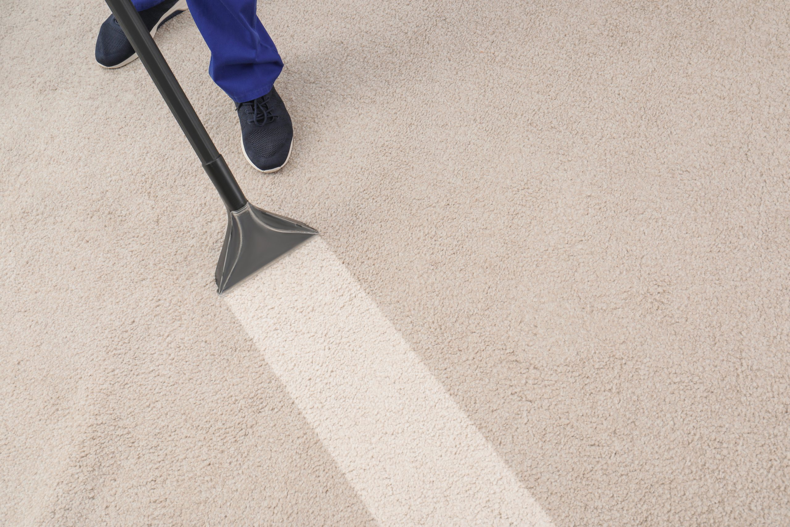 How Often Should I Get My Carpets Cleaned?