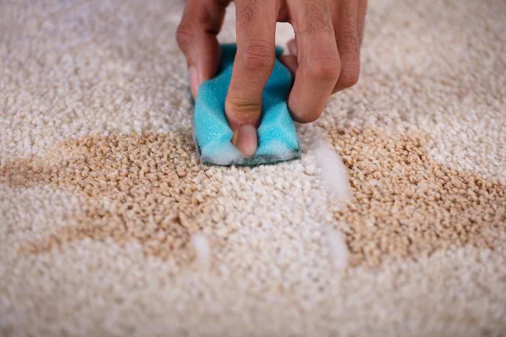 Carpet Stain Cleaning: When to DIY and When to Call a Professional
